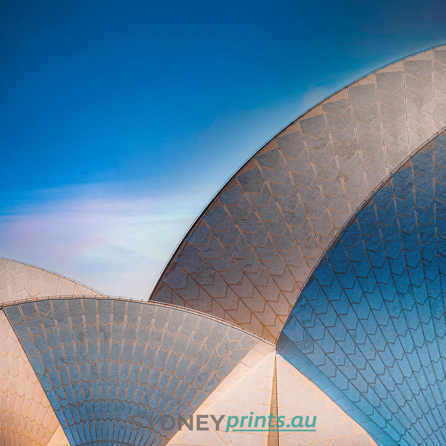 Opera House Sails Abstract - 121031-G034