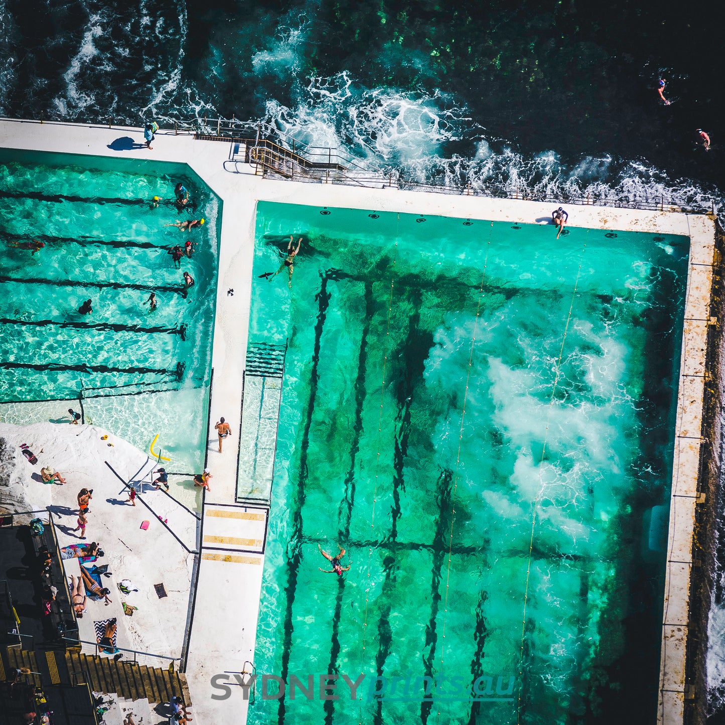 Bondi Icebergs - 151125-A378