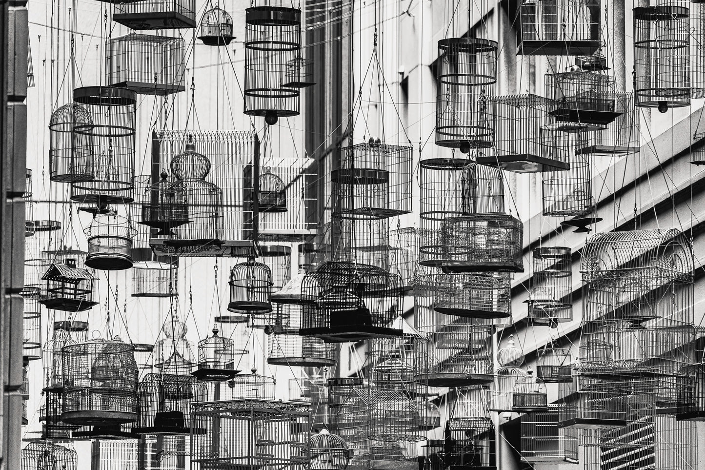 Angel Place Bird Cages - 200629-G206