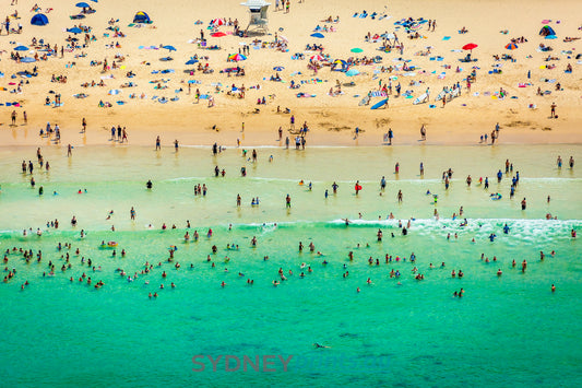 Bondi Beach Swimmers - 160120-A230