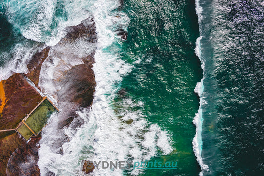 Mona Vale Rockpool 1 - 161024-A328