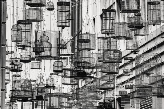 Angel Place Bird Cages - 200629-G206