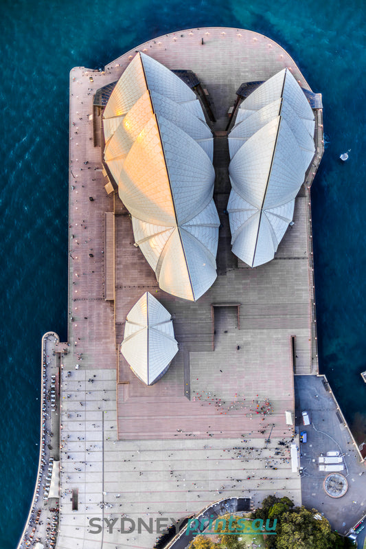 Sydney Opera House Vertical 1 - 230909-A368